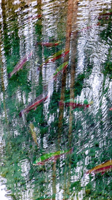 Alex Fischer, untitled, 2024-03-06